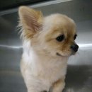 잠실준25시 동물병원 이미지