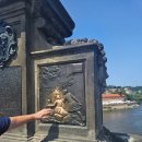 광삼로 39번길 8_1 앞 | 여자 혼자 프라하 4일차(4) I 프라하 오후 팁투어 후기 (운영중단)