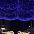 축제의 물결 이미지