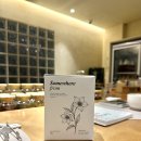 좋은차만들기 | 서울 성수공방 허브블랜딩 티클래스 &#39; 썸웨어프롬 &#39; 에서 가진 즐거운 차만들기 후기