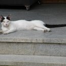 성화사 이미지