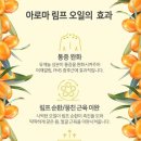 자아연