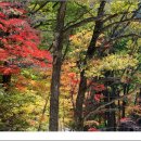 네모박스 이미지