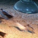 구례청계 이미지