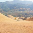 창녕박물관 이미지