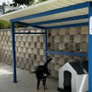 광포로또복권 이미지