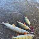 오륜주유소 이미지