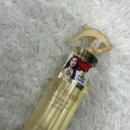카멜리아파트너스