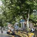 마더 | 상하이 맛집 ‘그랜드마더’ 솔직 후기!!