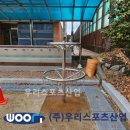 대구유천초등학교 이미지