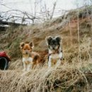 신문수농장 이미지