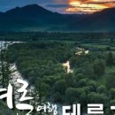 코몽투어