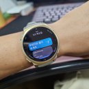 (주)티렉스 | 어메이즈핏티렉스3프로 44mm 후기｜250km 라이딩 배터리·GPS·수면측정 써보니