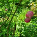 박종상농장 이미지