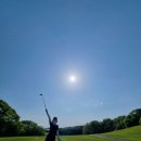 도그센추리 이미지