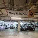 (유)프라임렌트카 | [하와이여행] 돌핀앤유 후기, 72번 국도 드라이브...코나 브루 컴퍼니(Kona Brewing), 허츠 렌트카 픽업