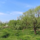 황금내근린공원 이미지