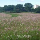 광양커뮤니티센터 이미지