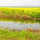 사람과 자연 이미지