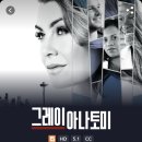 그레이아나토미 시즌 19 디즈니플러스 업로드 이미지