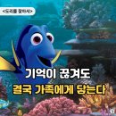 상봉에드 | 웃다가 조용히 눈물 나는 <도리를 찾아서> 디즈니애니메이션 가족 모험 영화추천 감동
