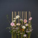 decorative parallel 이미지