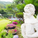 솔까치펜션 이미지