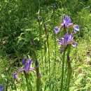 성주관광주유소 이미지