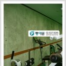 시화태권도장 이미지