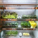 하계 | 하계동 맛집 강경불고기 노원하계점 후기