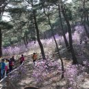 충청도양반길(3코스) 이미지