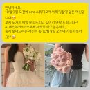 에프스타일 | 대구 eef(이이에프)ㅣ부케후기ㅣ견적ㅣ상담ㅣ예약ㅣ웨딩촬영 총 정리