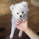 더즈 네일(Thez nail)