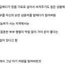 849017 이미지