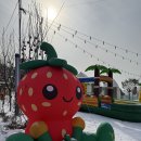 세아농장 | 겨울 양주르 아이랑 갈만한 곳 추천 서울근교 당일 글램핑 캠핑 눈썰매장 동물먹이주기 내돈내산 후기