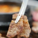 대전 용문역 맛집 가성비 좋은 탄방동 육육대장정육식당