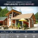 시냇물과 눈꽃세상 이미지