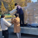 아미코젠(주) 이미지