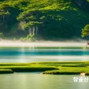 성경에 나오는 음식과 특징 이미지