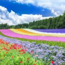 0704-0003 네이버블로그