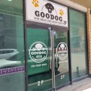 제천 펫택시 이미지