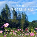 선교로 이미지