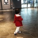 똥강아지몰