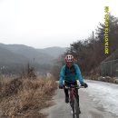 시례1 이미지