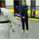 경희대 히어로즈 태권도장 이미지