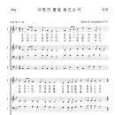 가톨릭성가 494 사랑의 불을 놓으소서 (pdf, jpg 파일) 이미지