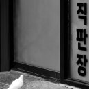계백로 이미지