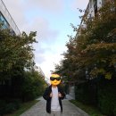 제이엔핏 이미지