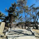 용주사효행박물관(휴관) 이미지