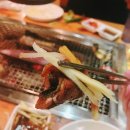 빨간장어 이미지